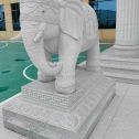乌鲁木齐 白麻花岗岩动物异形石雕-大象